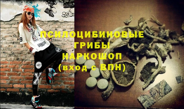 гидра Навашино