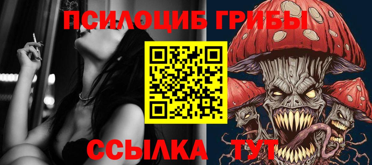 Черкесск  Псилоцибиновые грибы MAGIC MUSHROOMS  Вход с VPN 