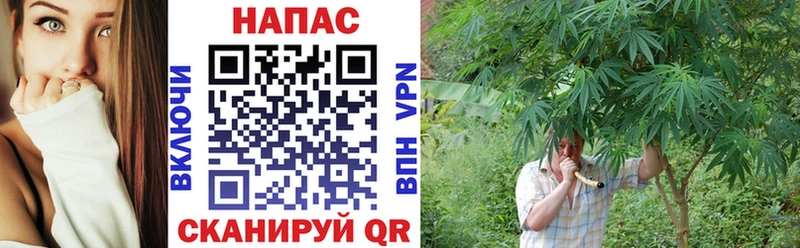 продажа наркотиков  Черкесск  Конопля SATIVA & INDICA 